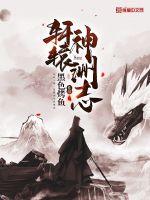 轩辕神医电视剧