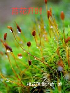 苔花如米small