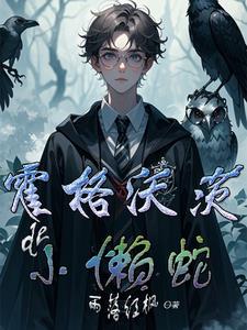 霍格沃茨的黑发女孩小说完整版