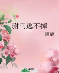驸马圈小说全文免费阅读