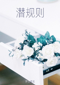 潜规则这本书讲的是什么意思
