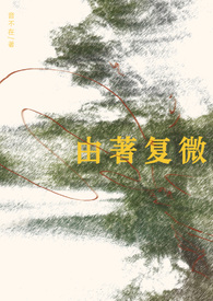 由著复微 见佳音txt